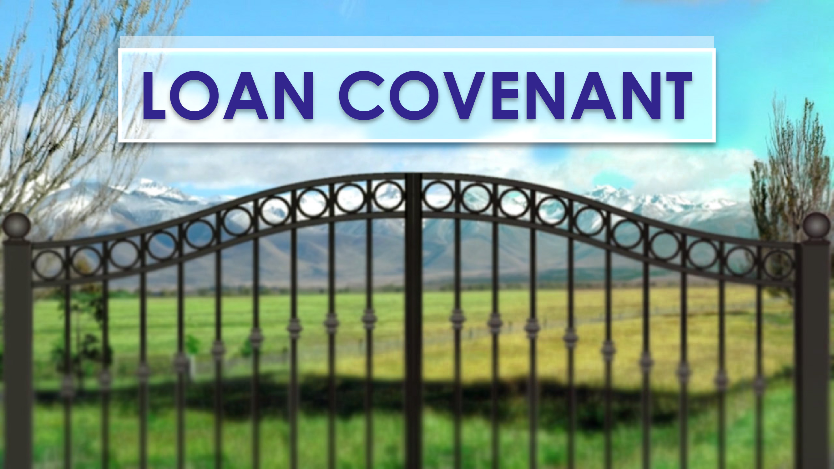 Loan Covenant
