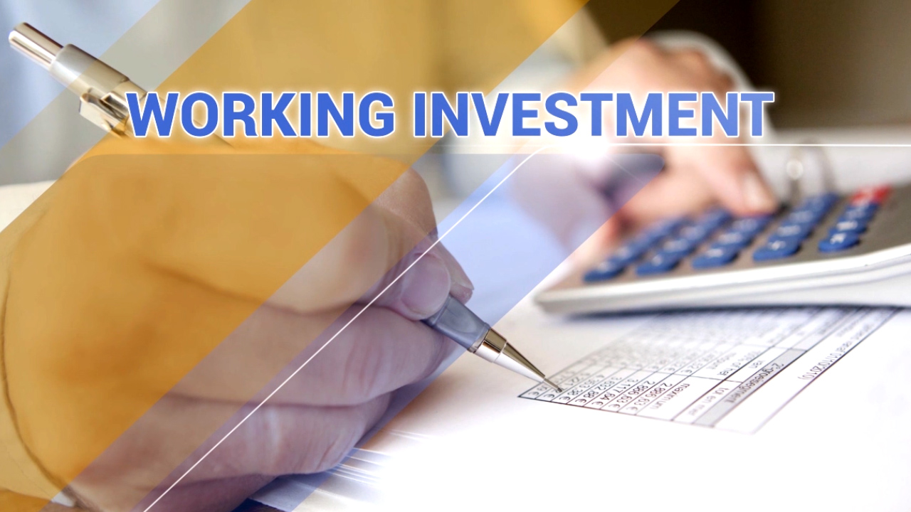 Working Investment